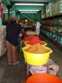 Beautiful sights & smells of Mexico